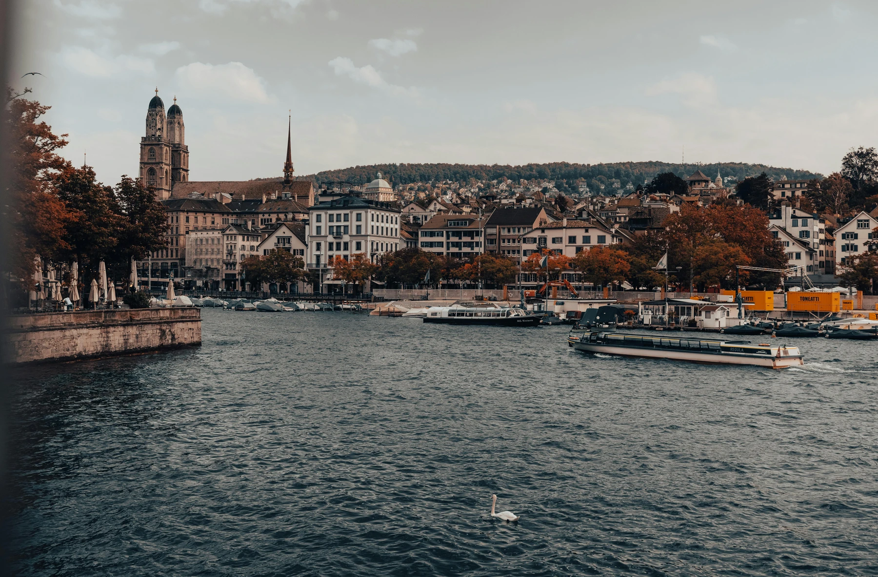 Angelkarten online kaufen in der Schweiz